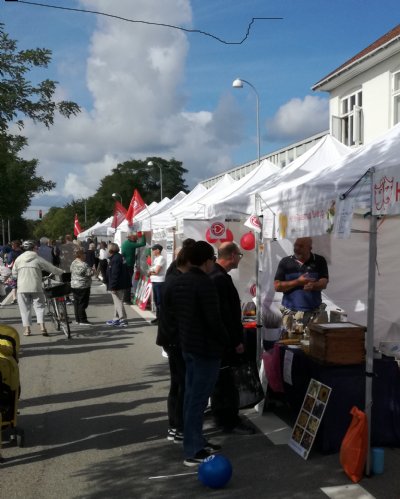 Frivillighedsdagen 2019, Frede 